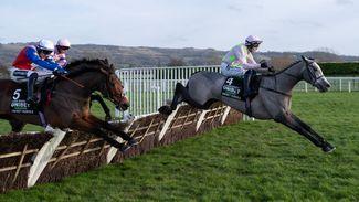 Let's prove a point and run the Mares' Hurdle on Midlands National day at Uttoxeter