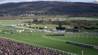 Sick of the relentless Cheltenham Festival build-up? Sorry, but I think we should give it even more