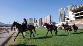 It's a sad day for Singapore racing - and a cautionary tale for the sport closer to home