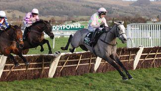 Mares' Hurdle the right call for Lossiemouth as Willie Mullins' young star continues her development