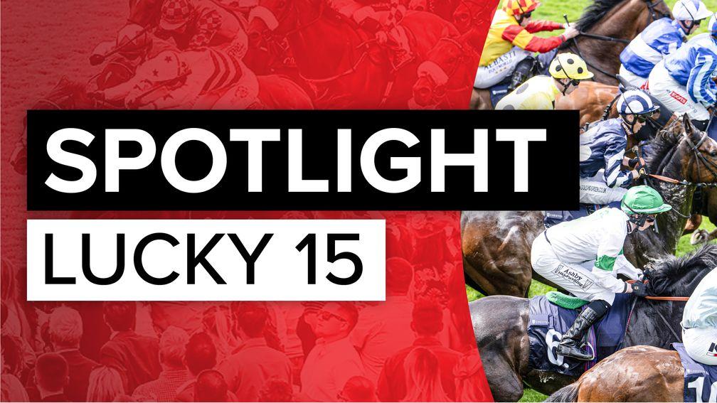 Spotlight Lucky 15 tips: four horses to back on Sunday