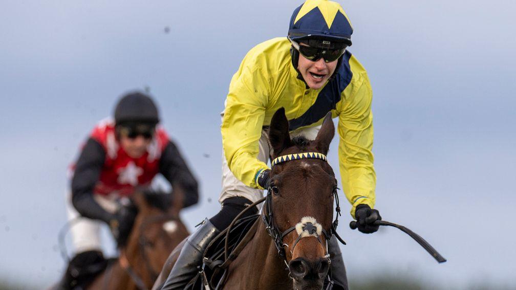 William Munny: all set for the Champion Bumper at Punchestown