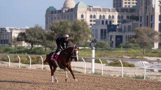 Kabirkhan: meet the Kazakh wonder horse rising from obscurity and causing a sensation in his bid for Dubai World Cup glory