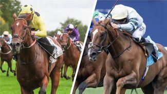 2.35 Chester: 'He likes it round here' - key quotes and analysis for competitive handicap