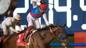 2023 Dubai World Cup at Meydan: the runners, the odds, the verdict
