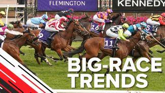 Big-race trends: key stats to help you solve the Melbourne Cup