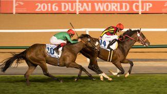 Real Steel denied chance to defend Dubai Turf crown