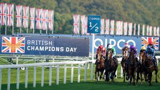 Trainer quotes for some of the leading Champions Day contenders at Ascot