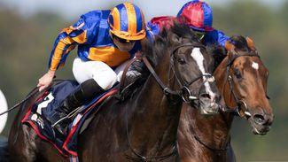 Aidan O'Brien keeps faith and sticks with Curragh plan for Auguste Rodin after latest blowout