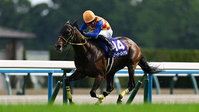 Japan: T O Royal 20-1 for Melbourne Cup after Grade 1 win in Tenno Sho Spring