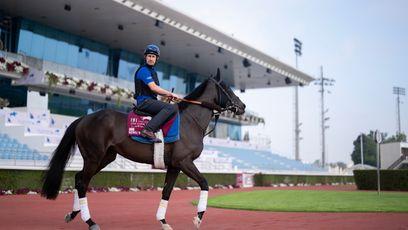 Rebel's Romance and Measured Time out to uphold sibling honour on Dubai World Cup night